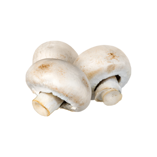 Mushroom- 1 Box