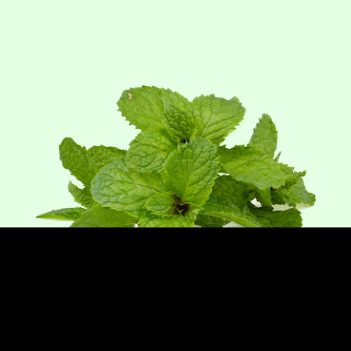 Podhina