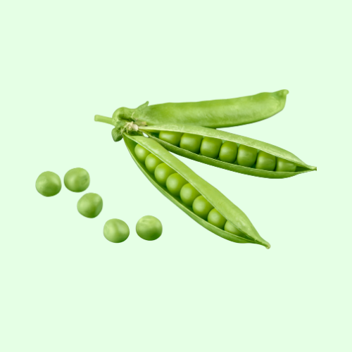 Peas (Matar)