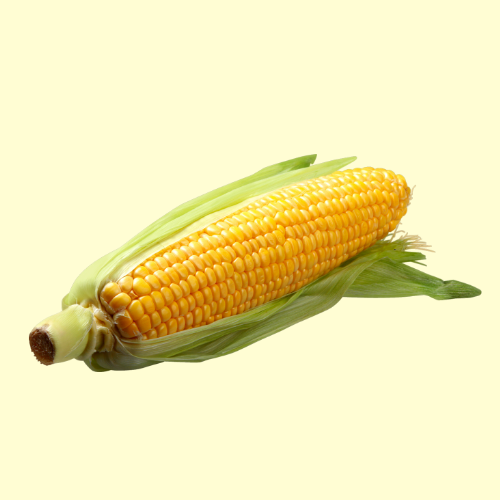 Corn- 1 Piece
