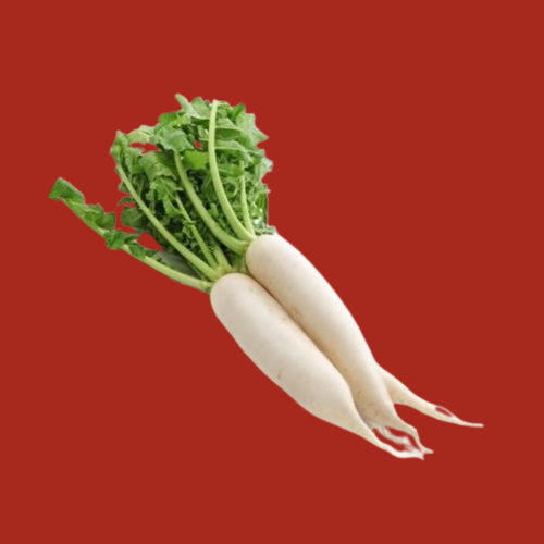 Radish