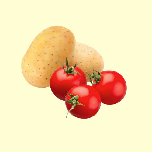 Potato, Tomato